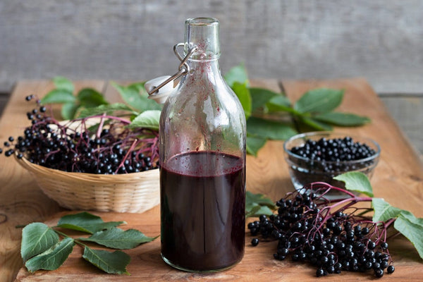 Elderberry Syrup - Elderberry Syrup -