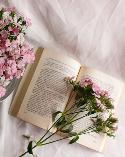 Books, Media & Education