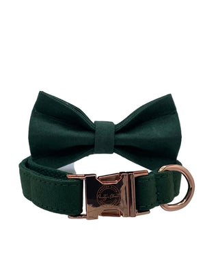 The Classic Dog Set- Green Day