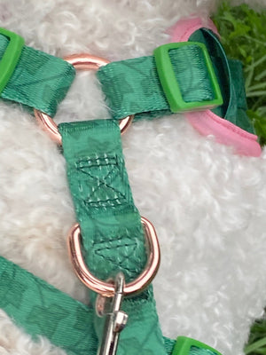 Ivy Harness