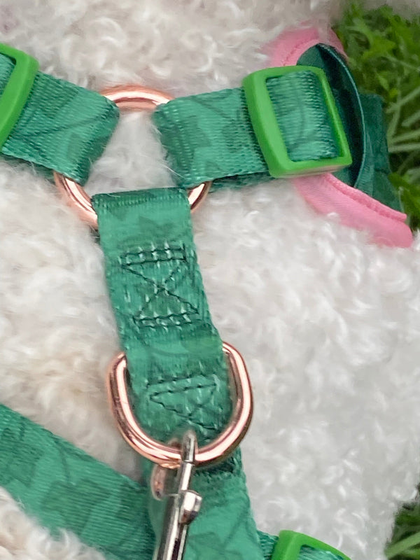 Ivy Harness