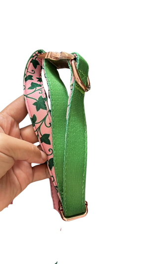Ivy Collar (M)