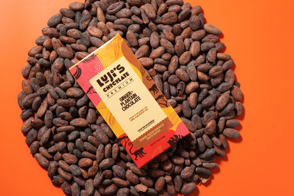 Ginger + Plantain Chocolate (4-pack)