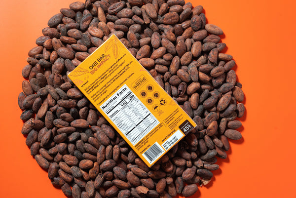 Ginger + Plantain Chocolate (4-pack)