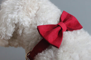The Cherry Dog Bowtie Set