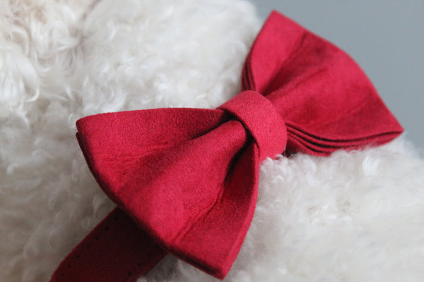 The Cherry Dog Bowtie Set