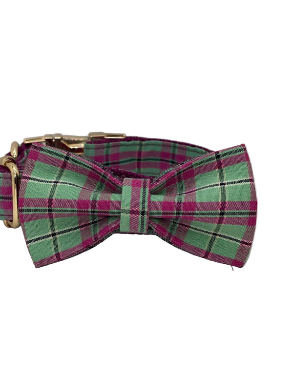 The Walking Dog Set - Purple Mint Plaid