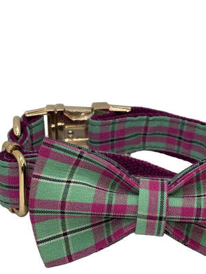 The Walking Dog Set - Purple Mint Plaid