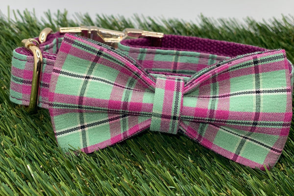 The Walking Dog Set - Purple Mint Plaid