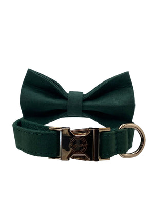 The Classic Dog Set- Green Day