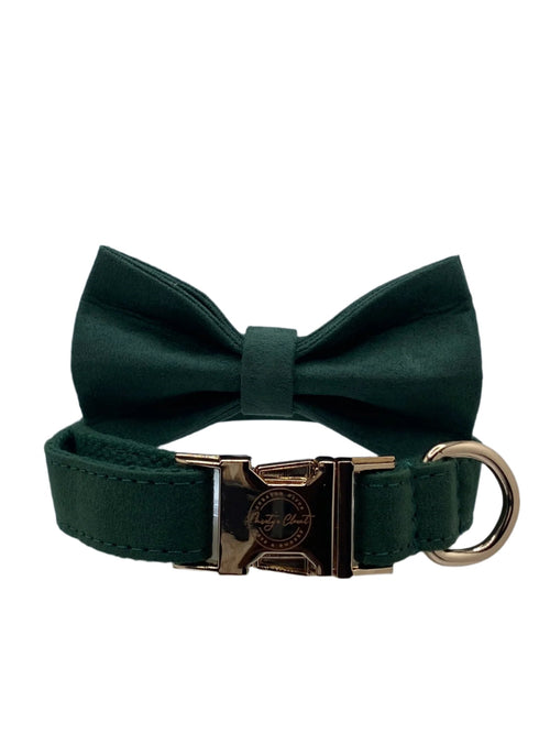 The Classic Dog Set- Green Day