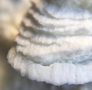Whipped peppermint body butter texture with a rich non-greasy finish